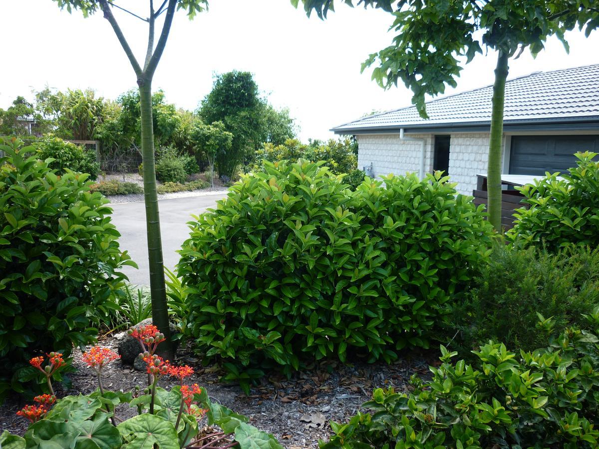 Willowbank Drive Bed & Breakfast Exterior photo